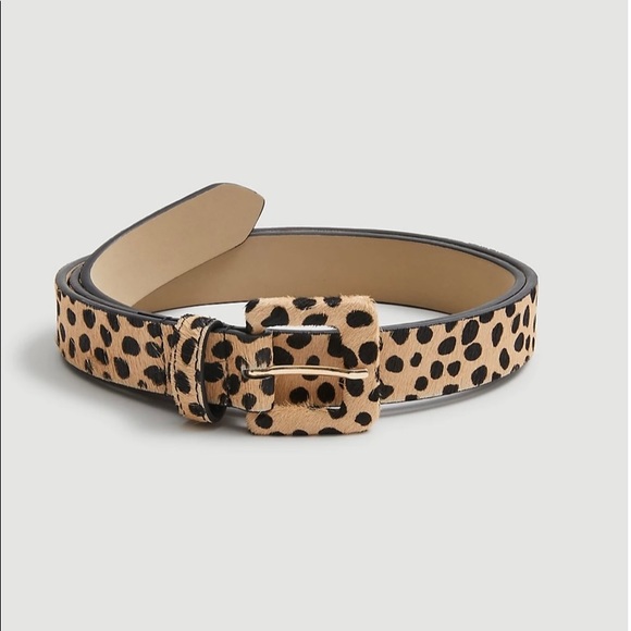 Ann Taylor spotted haircult belt Spotted pony hair belt main image 3